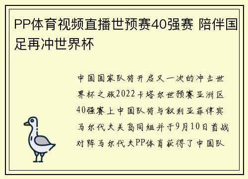 PP体育视频直播世预赛40强赛 陪伴国足再冲世界杯